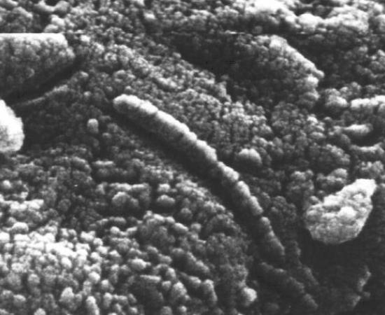  Astrobiology Search Extraterrestrial Life