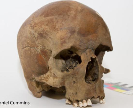 Mysterious skull found in Australia Could Rewrite History