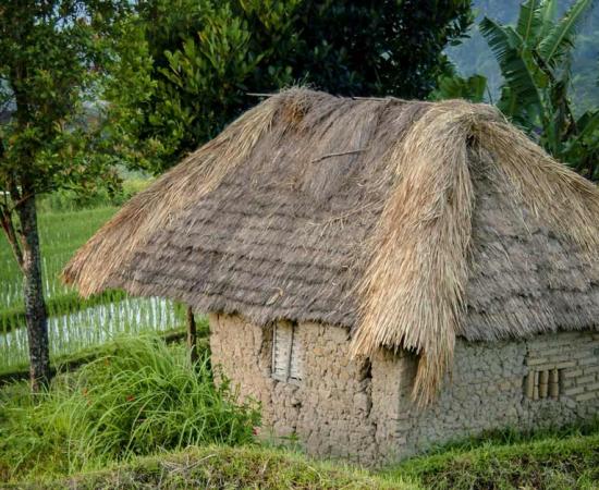 This mud and bamboo house in Bali, Indonesia, with rice paddies in the background, captures what the Chinese Baodun style of wattle and daub construction must have looked like based on the carbonized bamboo fragment recently unearthed at the archaeological site in Chengdu, China.                                                    Source: LoweStock / Adobe Stock