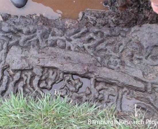 6,500-year-old wooden paddle