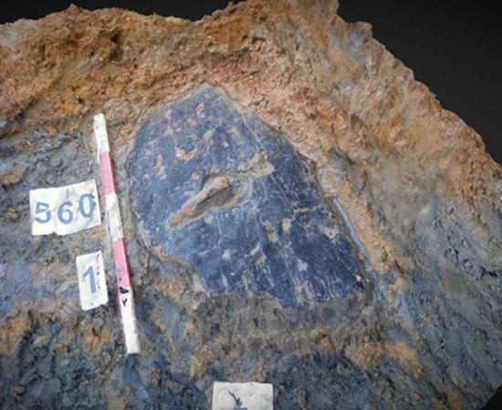 The bark shield is made from green bark that has been stiffened with internal wooden laths. Source: (University of Leicester / Fair Use)