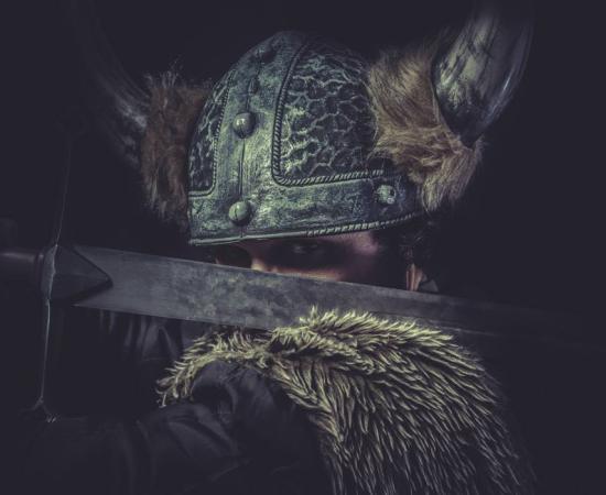 Viking berserker