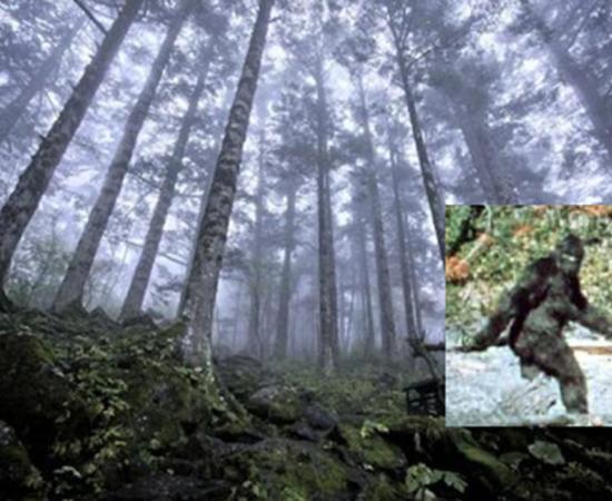 Scientists Who Believe in Bigfoot