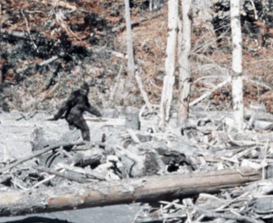 The famous Bigfoot sighting from “Patterson–Gimlin film frame 352” by Patterson-Gimlin film. 