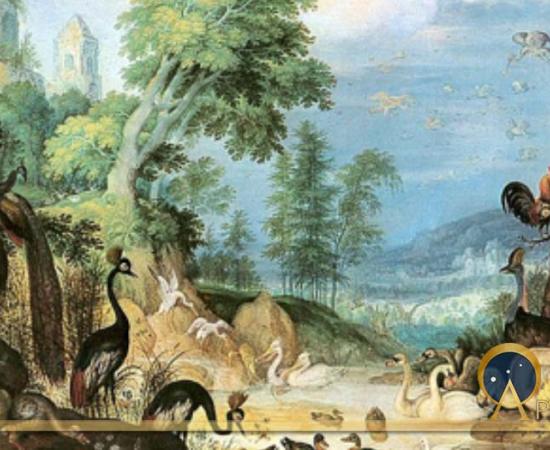 The Sacred and Ancient Legacy of our Feathered Friends 