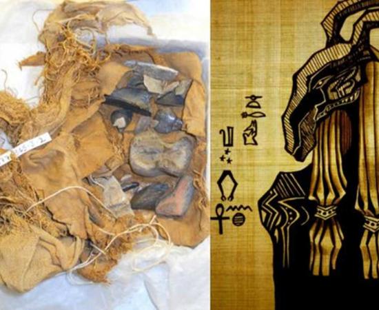 A linen bundle unwrapped many years ago, from Qau el-Kebir was found to contain fossil bones. 