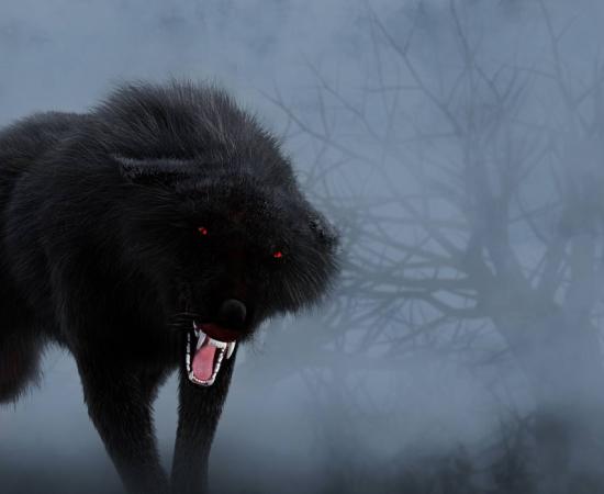 A menacing, shaggy black dog with red, glowing eyes