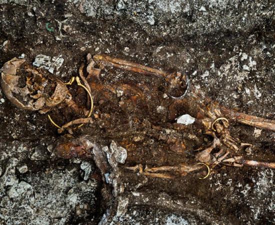 Remains of the body with the golden torc visible around the neck 