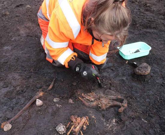 Archaeologist Lea Mohr Hansen cleans animal bones found together with the human skeleton.          Source: Christian Dedenroth-Schou/ ROMU