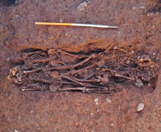 This is an image of the mass grave found beneath an Irish pub in Cork, Ireland, which a noted bone expert concluded was an extremely violent mass death! Source: © John Cronin & Associates