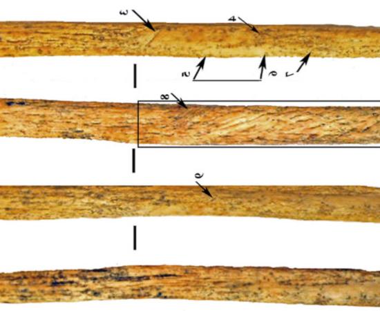 View of the bone spear point from four different sides.