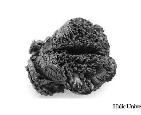 Bronze Age Brain - Boiled