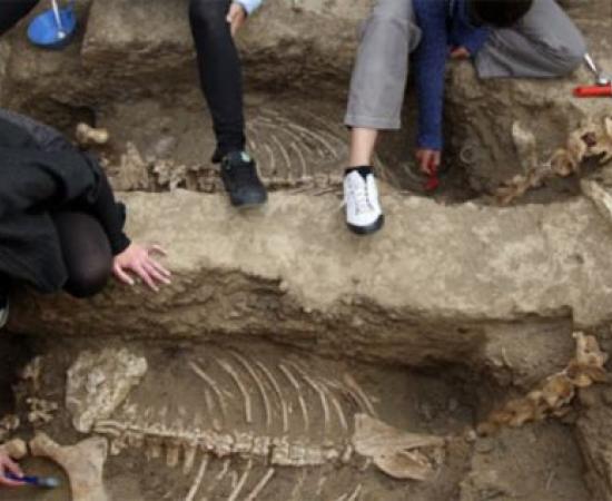 2,500-year-old chariot