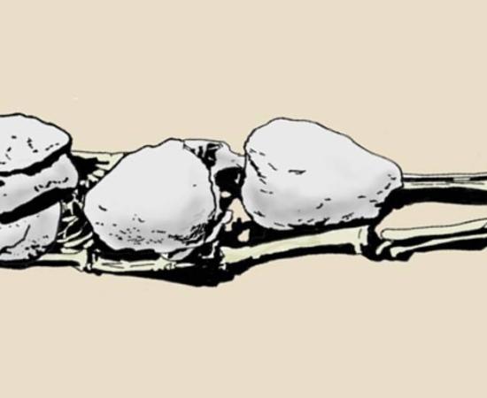 Drawing by D. Weiss of the burial in Tomb 693, from G. Di Stefano's journal.
