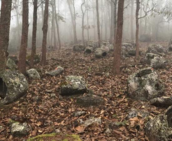 Group 1, burial jars shrouded in mist at Site 52. Source: Australian National University / Fair Use.