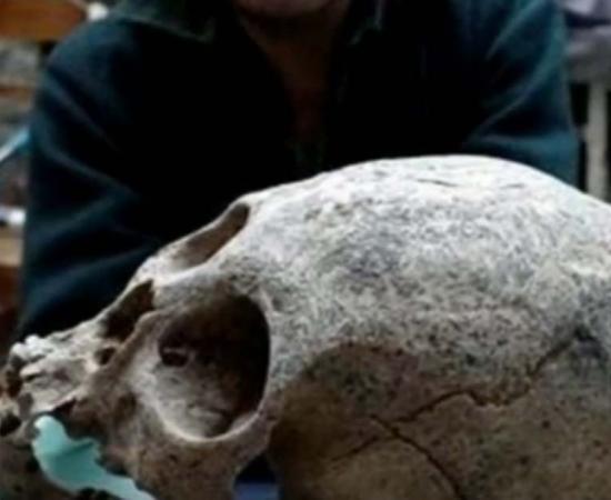 Skull found in 15th century tombs in Bolivia