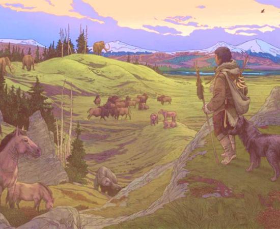 Early Siberian Explorers Crossed The Bering Sea With Canine Companions