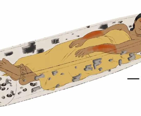 The young woman was buried more than 800 years ago in a wampo, or ceremonial canoe, that researchers think symbolized a boat journey to the land of the dead. Source: Pérez et al., 2022, PLOS ONE / CC-BY 4.0