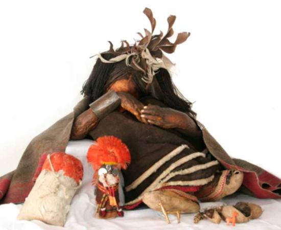 This capacocha victim, a boy recovered from Cerro El Plomo in 1954, was the first finding of its kind to be the subject of scientific studies. Pictured with excavated grave goods: a female silver statuette, gold llamas and spondylus shell, a chuspa stuffed with coca leaves, scrotum and animal intestine bags with clippings of nails, hair and teeth, and a silver bracelet. Source: Jisa39 / CC BY SA 4.0