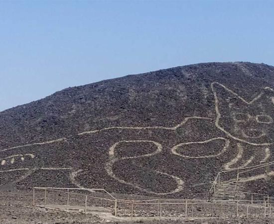 Giant Cat Geoglyph Found Near the Mysterious Nazca Lines