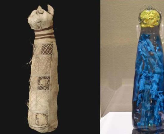 The wrapped cat mummy and the 3D reconstruction of what is hidden inside. Source: Musée des Beaux-Arts de Rennes