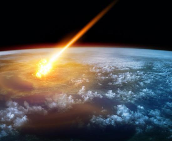 he Earth endured a cataclysm that caused a mass extinction of many large mammals. Source: James Thew / Adobe Stock.