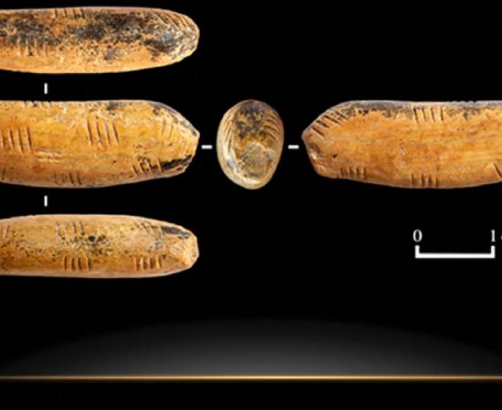 The cave lion figurine found recently in Siberia’s Denisova Cave.        Source: The Siberian Times