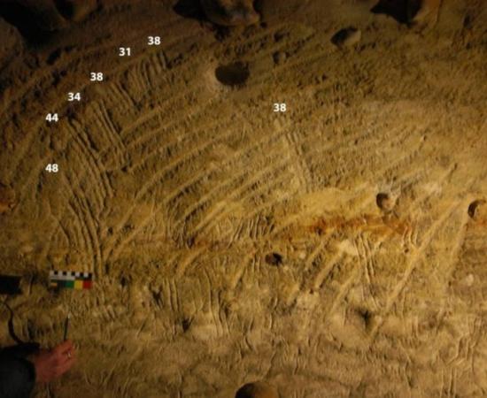Children’s fluting examples from G4 panel from Rouffignac cave.