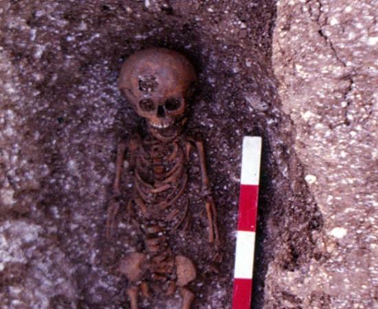 Featured image: A child burial at the abandoned medieval village of Hatch, which was excavated in the winter of 1984 and 1985. 