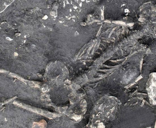 Child skeleton from 1,500-year-old crime mystery in Sweden 