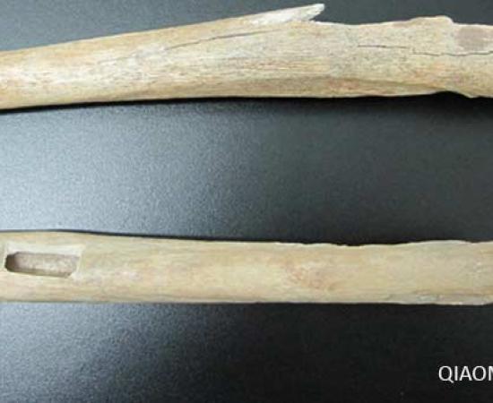 Evidence linking Ancient Chinese and Americans