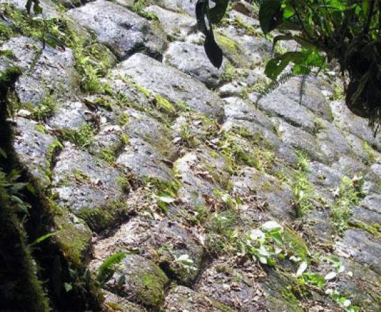 The Lost city of the Giants