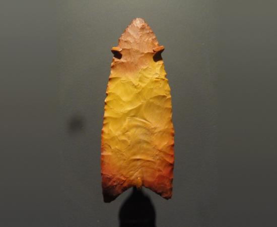 A fluted Clovis stone spear point in yellow and red chert, shown point upwards against a dark grey museum background
