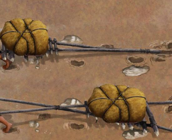 Ancient travois.  Study reveals oldest handcarts in New Mexico.