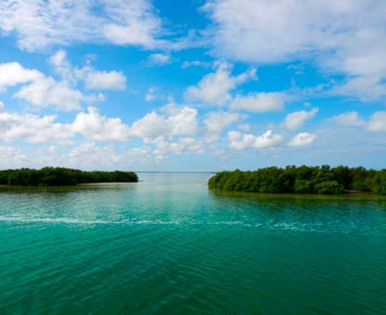 Research at the site of Vista Alegre, has uncovered evidence that this was once a bustling port used by the coastal Maya. Source: lunamarina / Adobe Stock