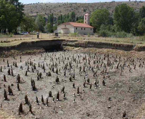 The pile field at the site of Dispilio. Almost 800 piles, mostly made of juniper and oak wood, were sampled and dendrochronologically measured.	Source: Dispilio Excavation Archive/Bern University