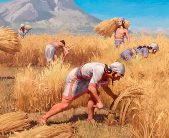 Minoan Bronze Age family harvesting grain. The new study posits that cousins married to protect their family farmland. Source: Nikola Nevenov / Nature