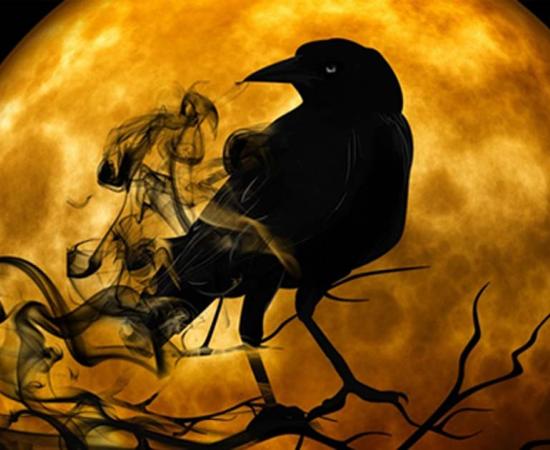 Ravens and Crows have been symbols and played a role in myth since ancient times. 