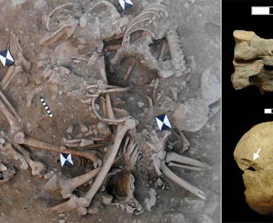 Excavations at Sidon Castle, Lebanon revealed two mass crusaders graves containing many skeletons that had clear signs of extreme violence, according to the latest research study in PLOS One. Source: Claude Doumet-Serhal / PLOS One