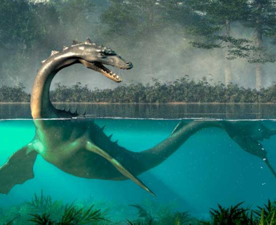 The Altamaha-ha legend has its roots in Muscogee traditions. This cryptid river monster with an alligator shaped head and long neck, is said to inhabit the Altamaha river and nearby marshes in southern Georgia. Will it be the next cryptid proven real? Source: Daniel Eskridge / Adobe Stock