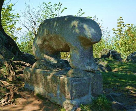 Ancient (probably Celtic) cult sculpture of a bear at the top of Mount Slęża. 