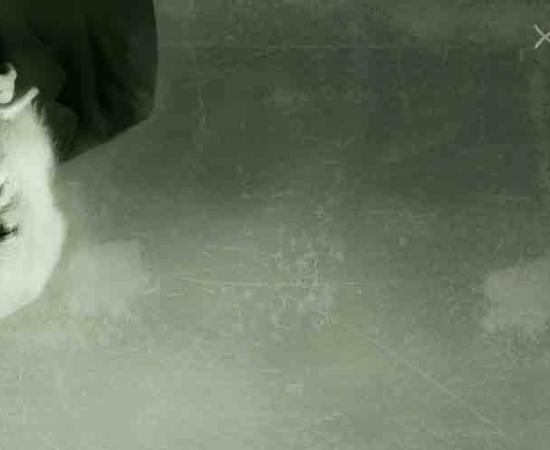 Darwin Theory Debunked - Washington Man