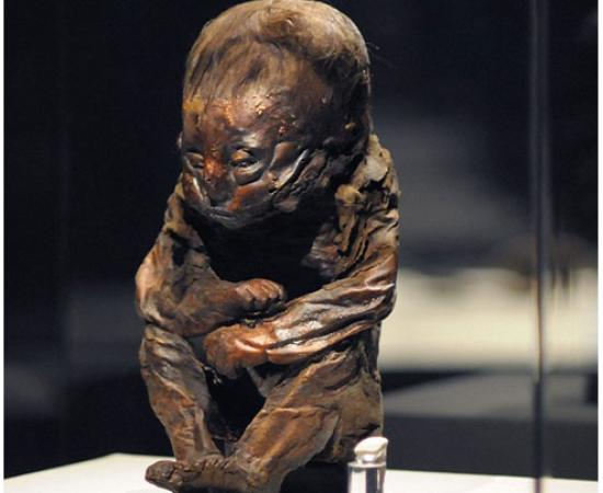 Mummified Detmold Child - Peru