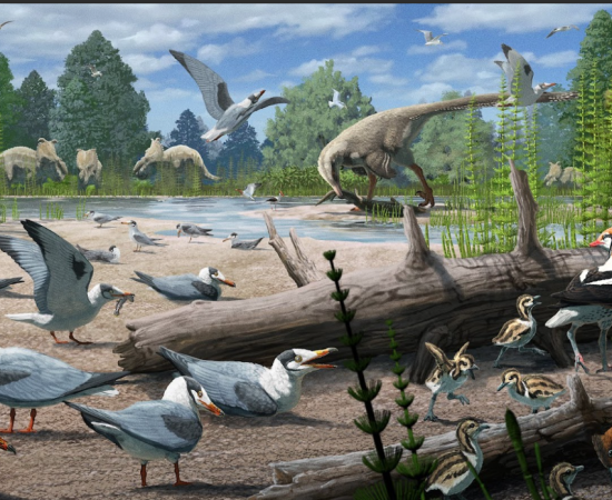 Illustration: dinosaurs and birds.