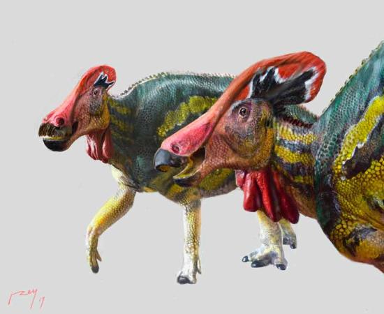 Dinosaur in Mexico: New “Talking” Species Used Low Frequency Sounds