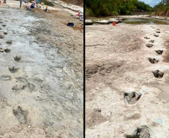 These rare dinosaur tracks were exposed to the light, as it were, by extreme dryness in a Texas riverbed gone dry. Source: Texas Parks & Wildlife Department
