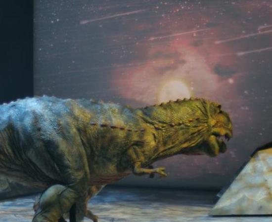 Dinosaurs Extinction affecting other species