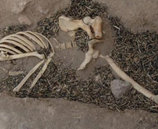 Disease in ancient Mesopotamia