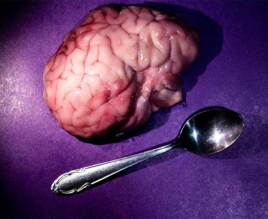 Taking ‘brain food’ literally – baked brains with roasted roses, another disgusting ancient food           Source: Dubnytskaya Photo / Adobe Stock