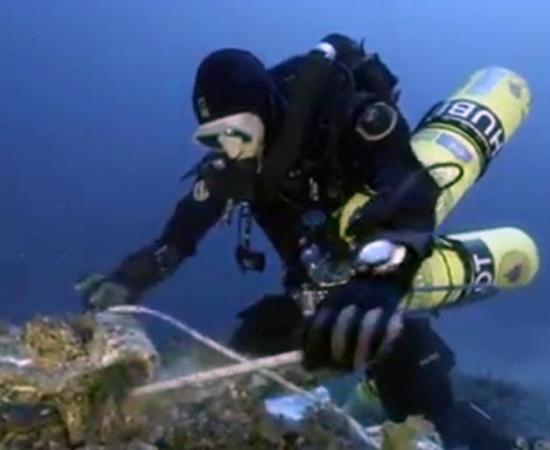 A diver securing an artifact found on the sea floor